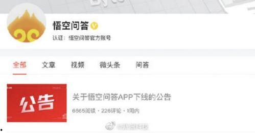 问答最新爆料消息是什么,揭秘问答领域最新动态与趋势