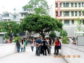 重庆秀山高中爆料案件最新,真相揭开，校园安全再引关注”