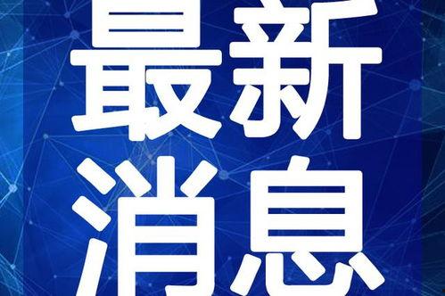 爆料五嫂主播视频大全最新,视频大全背后的热门话题与精彩瞬间